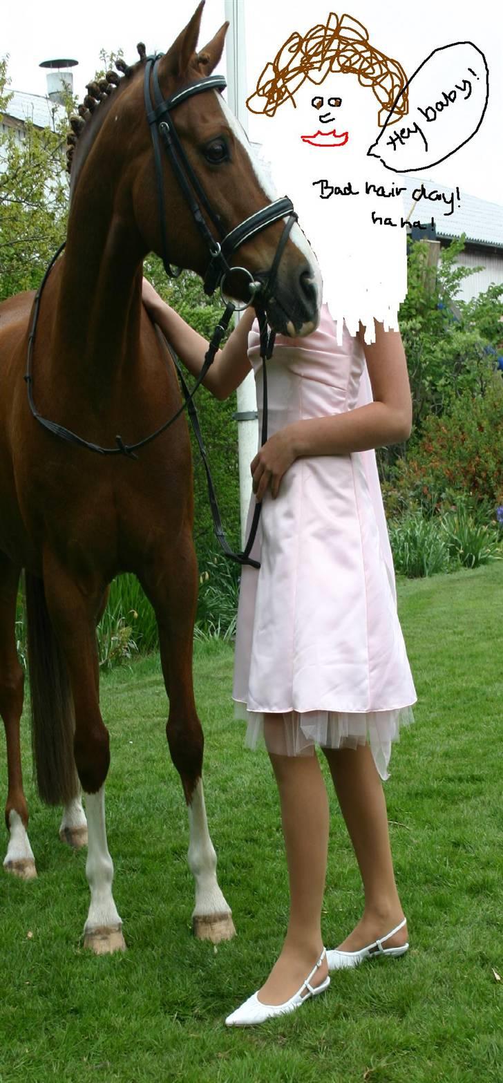 Anden særlig race Dinky-Boy solgt /; - mh, tjaa, ser lidt sjovt ud men ligenede LORT haha men dinky han er så fin * TIL MIN KONFI *(; billede 6
