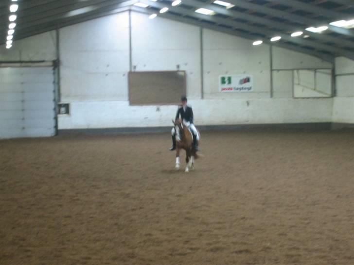 Anden særlig race Dinky-Boy solgt /; - LB3, 2 plads :) billede 7