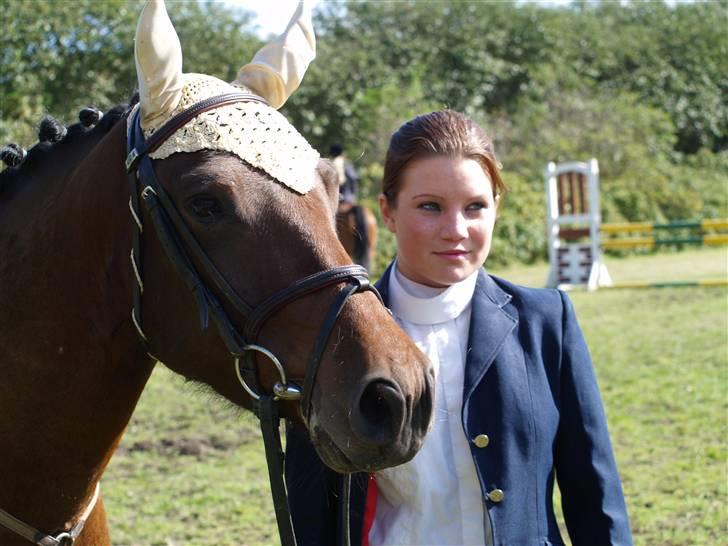 Connemara Pegasus solgt billede 8