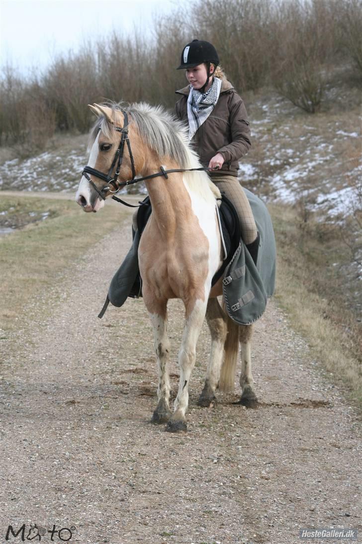 Anden særlig race Shy Lady - 2) Uha, der var noget der bevægede sig i søen xD Foto: MATO billede 2