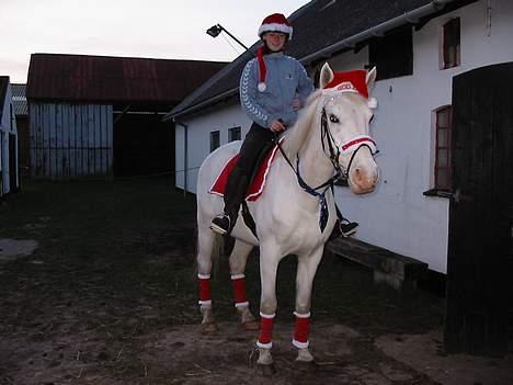 Anden særlig race Charlie billede 1