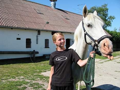 Anden særlig race Charlie billede 13