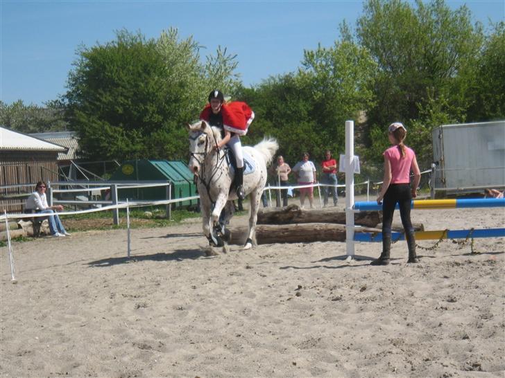 Appaloosa Spotlight / red / - her er vi lige kommet over springet  billede 7