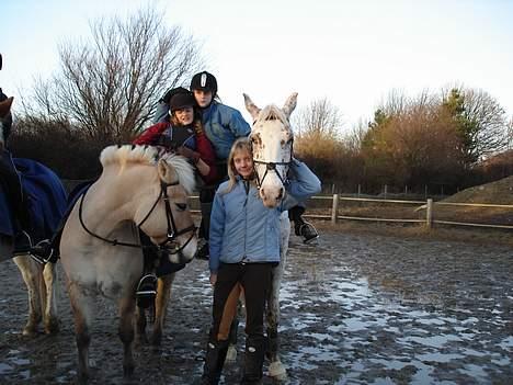 Appaloosa Spotlight / red / - spotiih, tykke, Emma, clara og mig billede 10