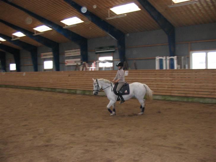 Connemara Balcarno Papeia <3"soglt" - Taget den 2 september billede 10