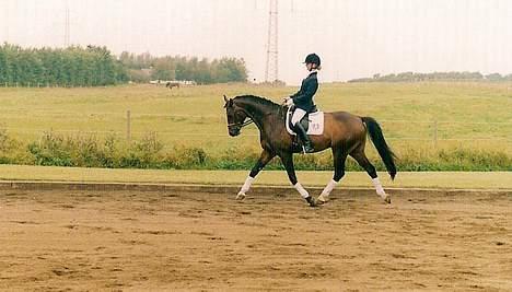 Trakehner Halifax *RIP* - LC3, vores første stævne, anden klasse den dag. Vi vandt med 73% Han er så skøn... billede 9