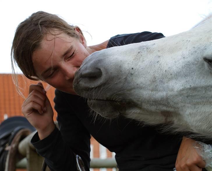 Anden særlig race Toscha R.I.P   - Myyys billede 10