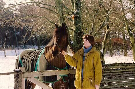Dansk Varmblod Kaukasus *RIP* - Mor og Kaukasus en kold vinterdag billede 16