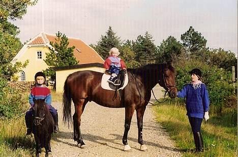 Dansk Varmblod Kaukasus *RIP* - Mig på Camilla (shetlandsponyen) og mor som holder Kaukasus med lille Stine på ryggen;) billede 17