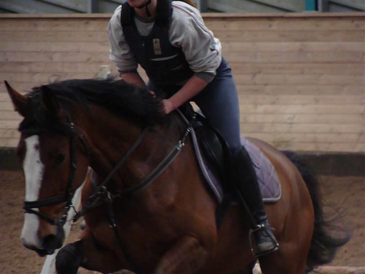 Anden særlig race Bertil billede 3