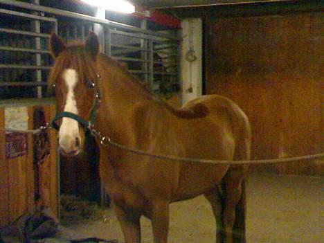 Anden særlig race Ferrari *SOLGT* :'( - Heej. Bliver det taget billeder ? billede 14