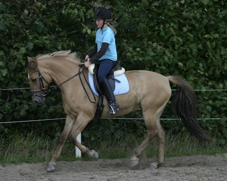 Anden særlig race Jazzmin <3 - Jazzmin <3 billede 12