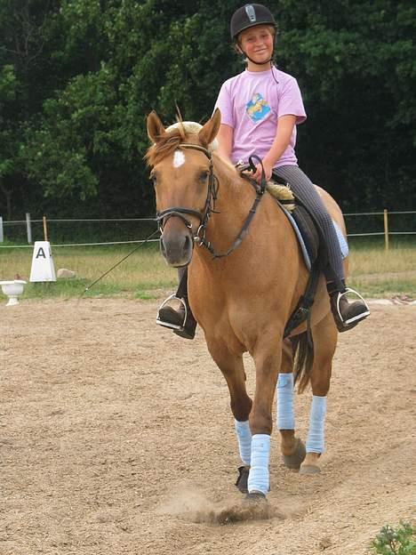 Anden særlig race Jazzmin <3 - Skridt en varm sommerdag efter dressur . billede 14