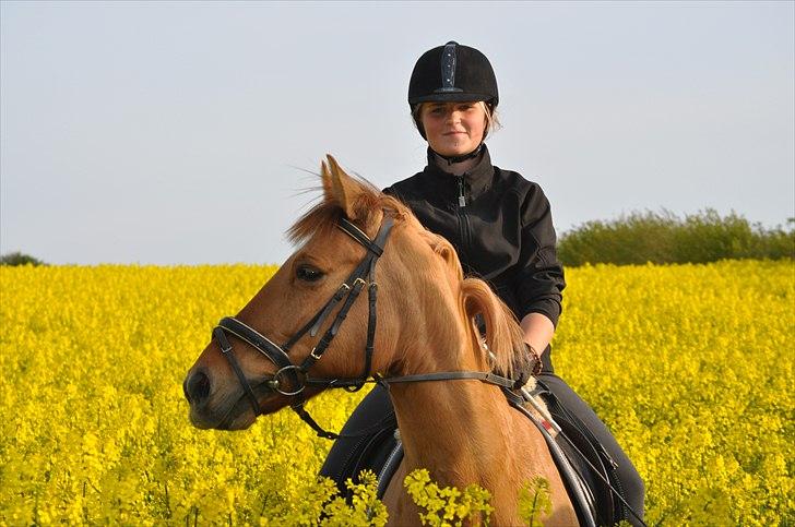 Anden særlig race Jazzmin <3 - I love you! foto: Sandra :) <3 billede 5