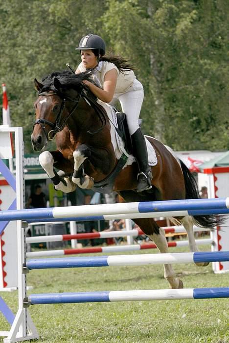 Pinto mørkbaks Aslan pih 41  - springe kan de billede 4