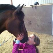 Anden særlig race Walther