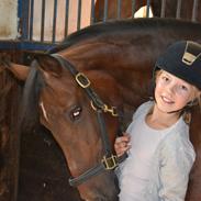 DSP MIRA-BELL VENTURE 