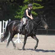 Oldenborg Lille my (Solgt)