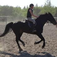 Oldenborg Lille my (Solgt)