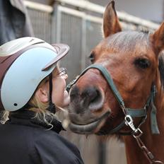 Anden særlig race Ærøs Kari [rider]