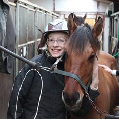 Anden særlig race Ærøs Kari [rider]