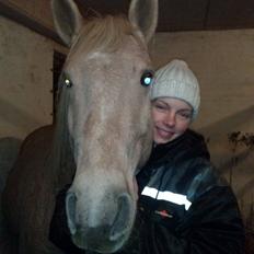 Palomino Moonlight  [Solgt]