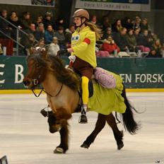 Islænder SOLFÉGUR HEJELTE