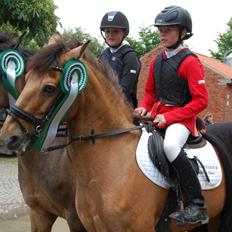 Anden særlig race Grange Sandy