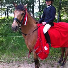 Anden særlig race Grange Sandy