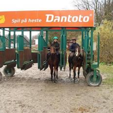 Fuldblod (XX) Fuego(Futte)