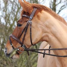 Anden særlig race Lindholms Line<3 RIP:'(:'(<3<3