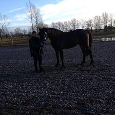 Anden særlig race thor