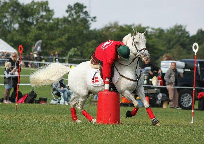 Anden særlig race Fantazy - DM par 2012 billede 17