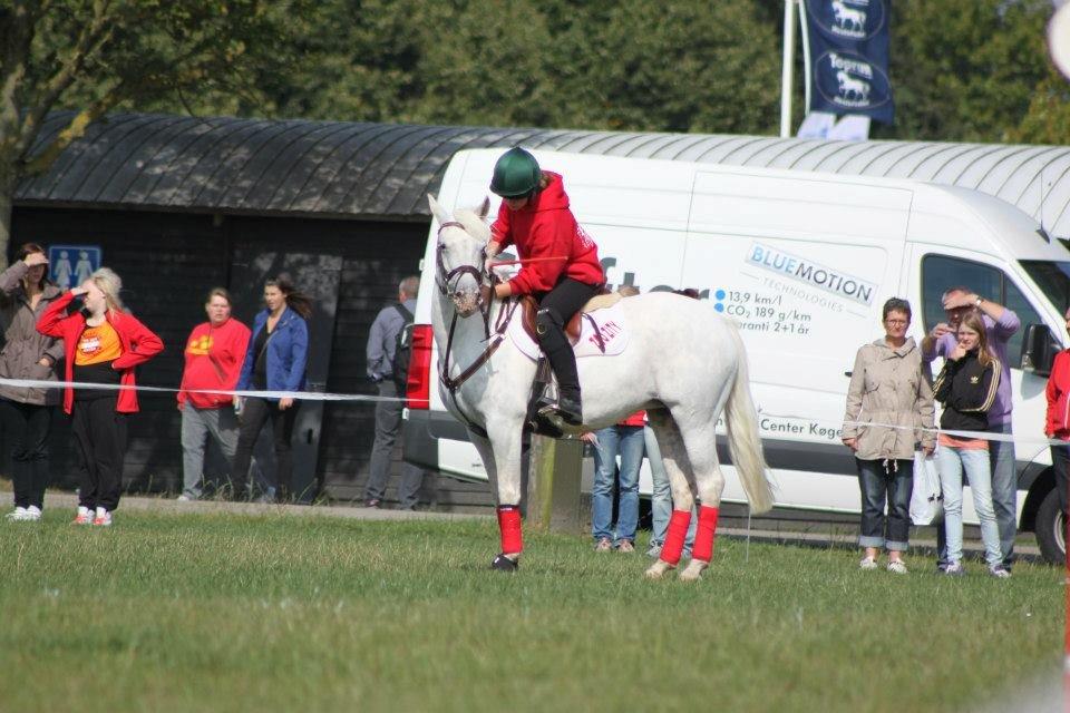 Anden særlig race Fantazy - DM par 2012
det dejlige moument hvor fanta er rolig <3 billede 18