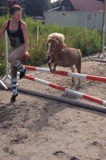Shetlænder Flicka - Jumping like an angel ..<3 billede 9