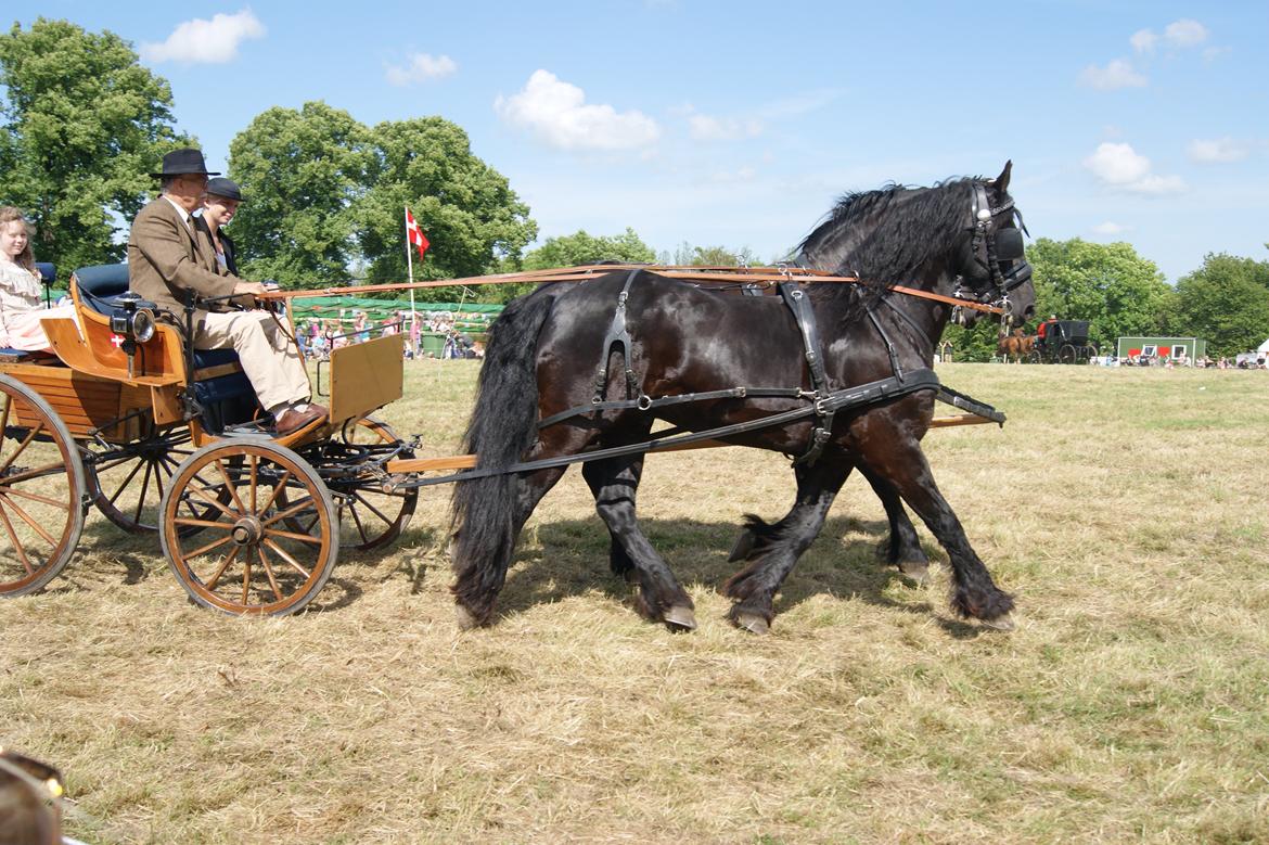 Frieser Henry billede 13