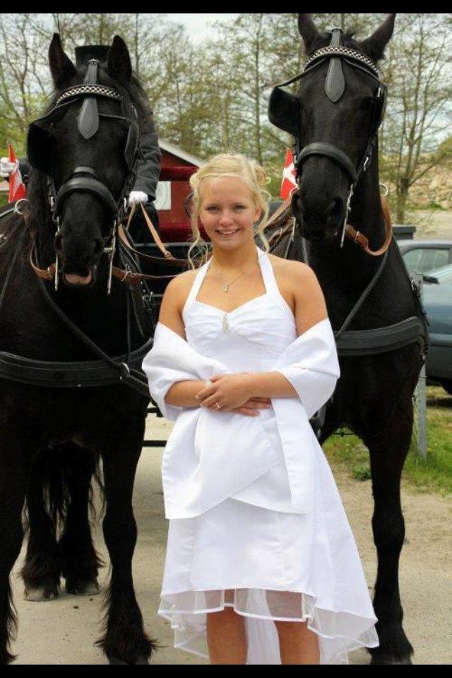 Frieser Henry - Det er til min konfirmation, hvor jeg blev kørt af mine to dejlige heste billede 16