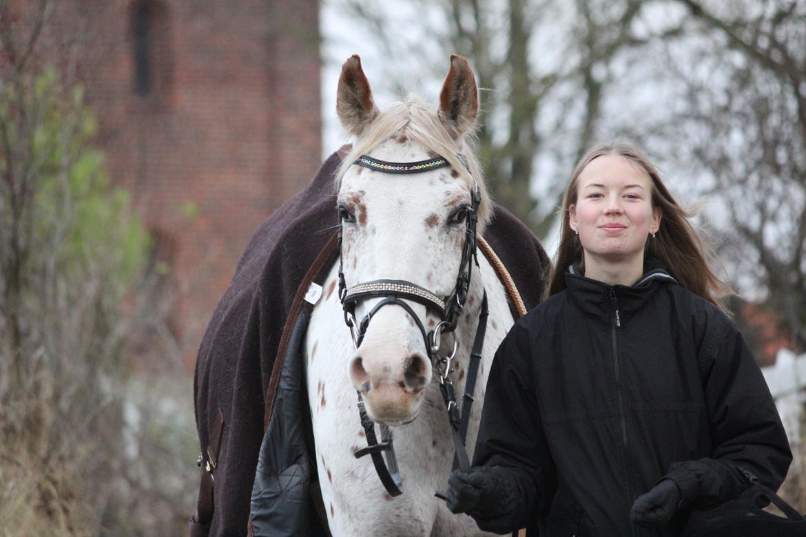 Appaloosa Spotlight billede 13