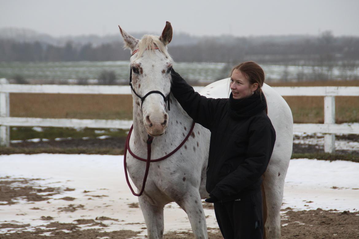 Appaloosa Spotlight billede 16