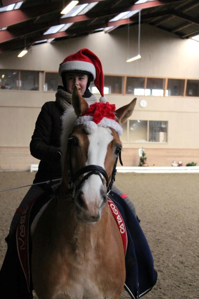 Haflinger Studgårdens Sally <3<3 - 14] Juletur 2012 :) Dato: 24.12 2012 Foto: Min mor billede 14