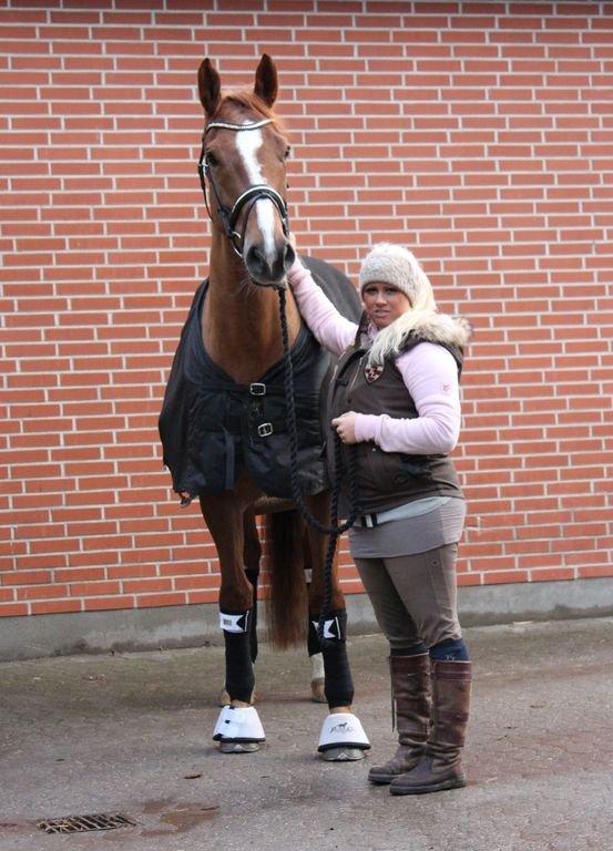 Dansk Varmblod Gelinde E  - min store dejlige hest dec. 2012 taget af camilla n taak mus <3 billede 12