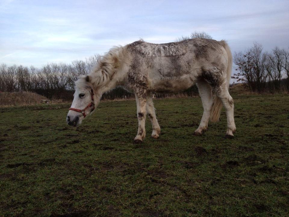 Anden særlig race Plet Farvel mit 1 og alt! </3 - Skønheden rystersig lige på fold<3 billede 13