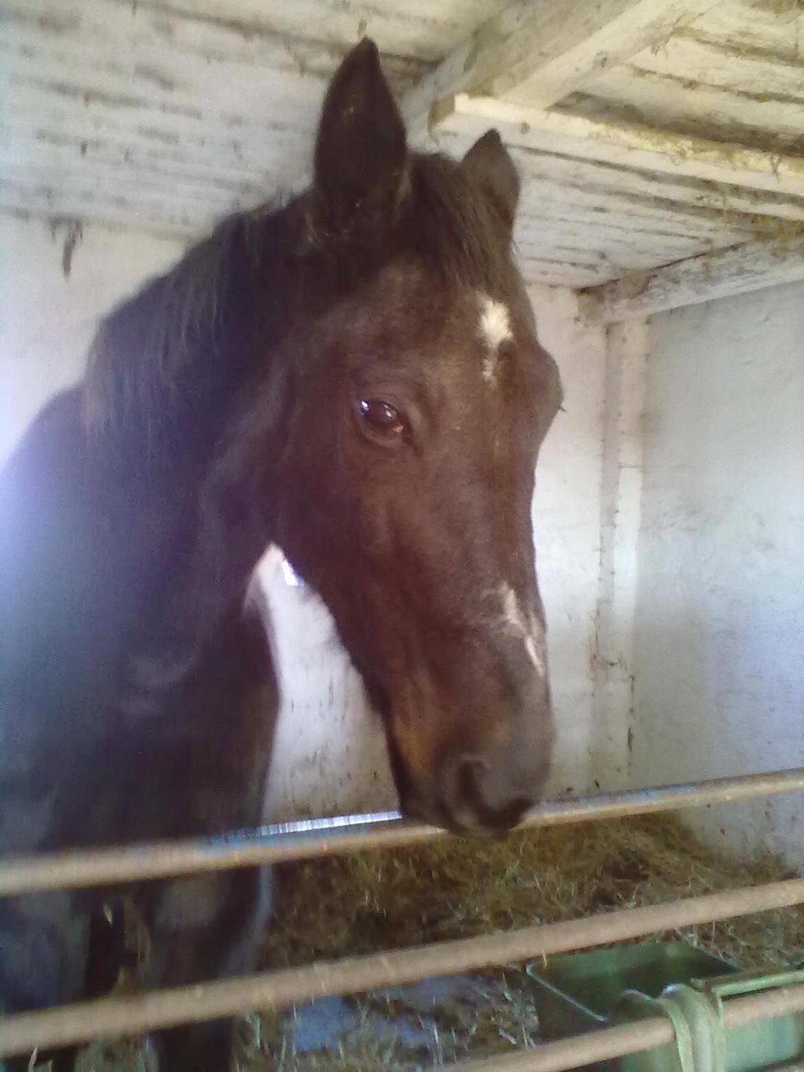 Traver Air Max billede 4