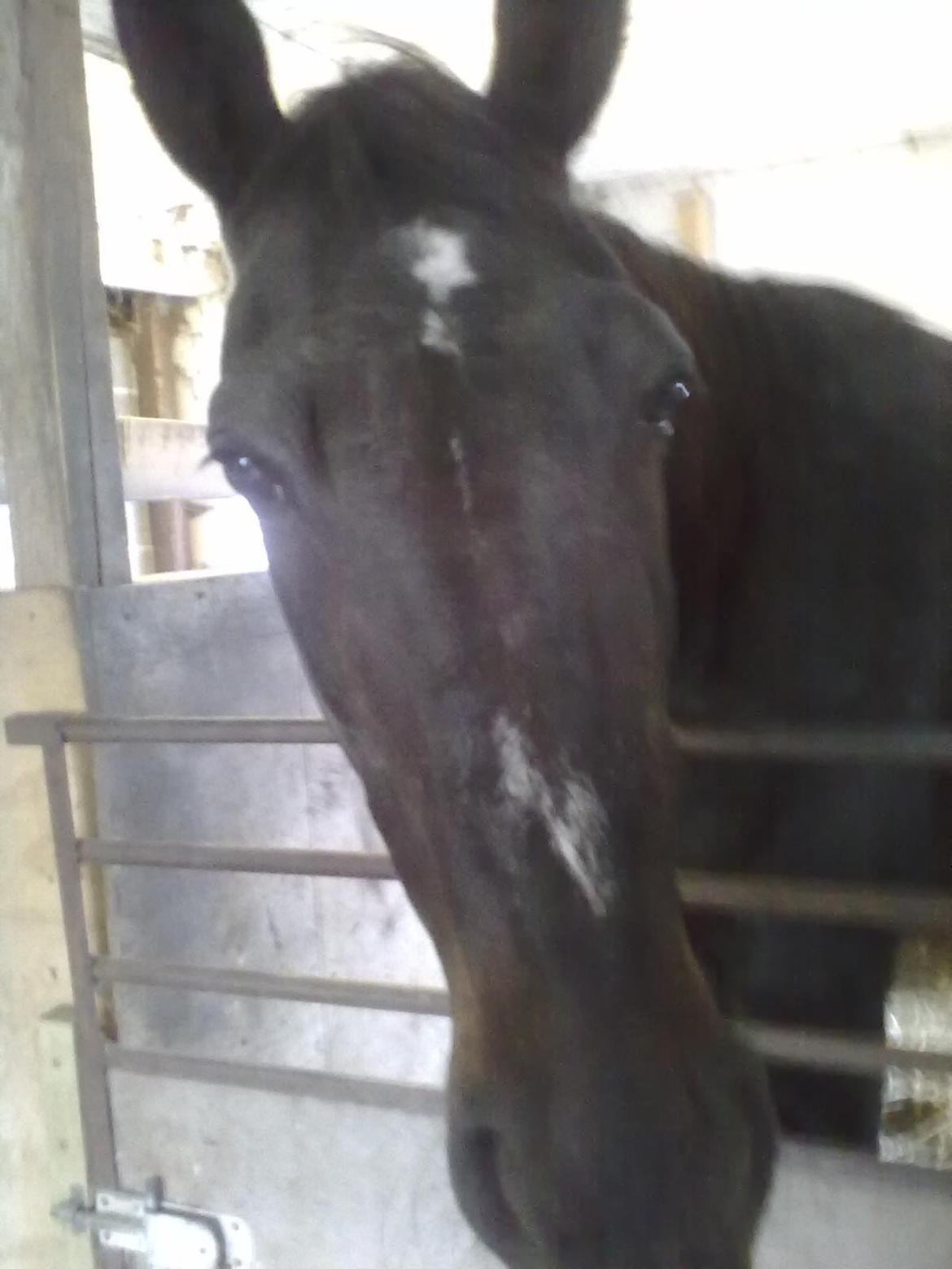 Traver Air Max billede 5