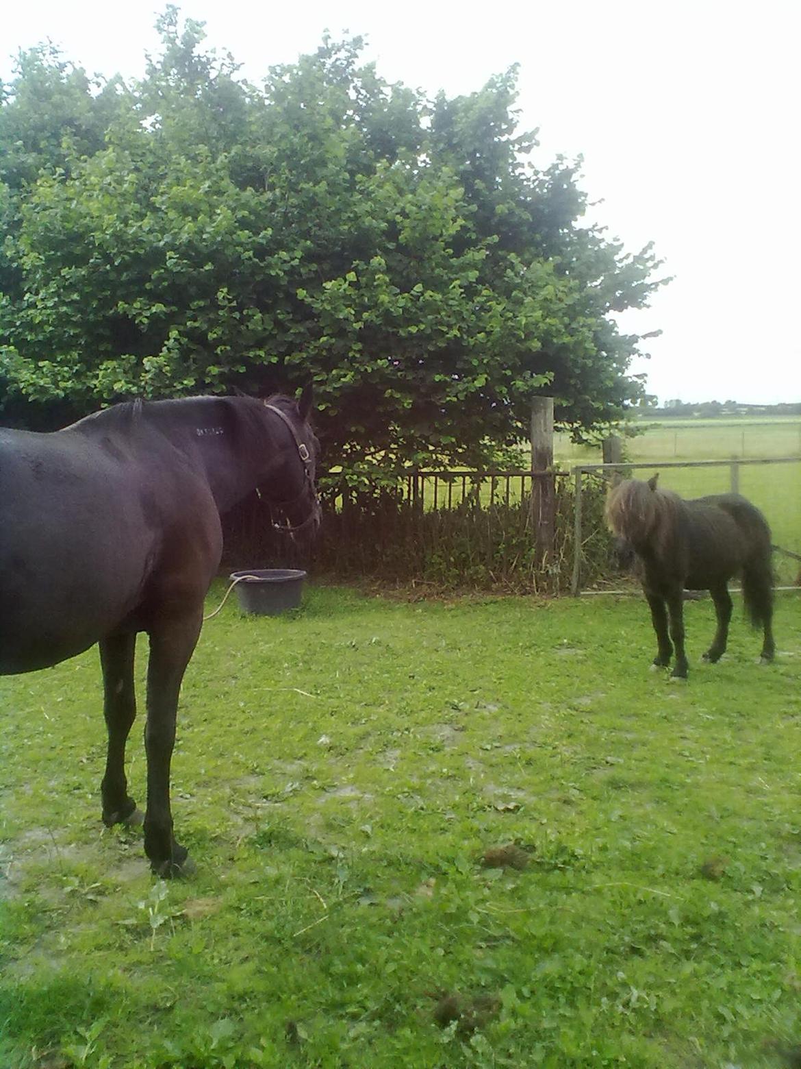 Traver Air Max billede 6