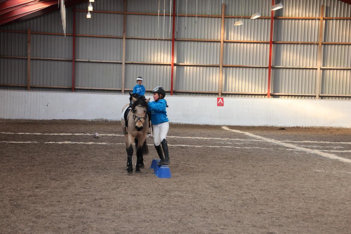 Anden særlig race Digelsgaardens Ginger(My little Girl)<3 <3 - Rider dsv ikke ponygames på hende her i øjeblikket jeg rider Zorro<3 han er lidt(meget nemmere) om meget mindre<3<3 billede 11