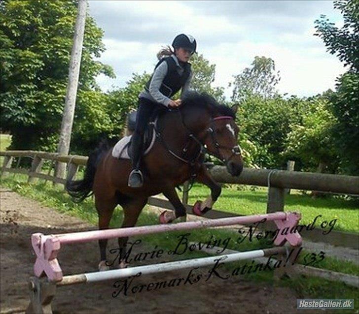 Hollandsk Sportspony nørremarks Katinka "himmelpony" - savner tiderne vi havde sammen.. <3 billede 2