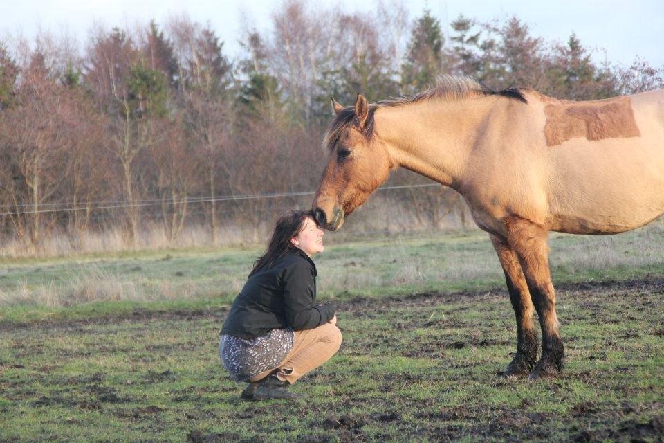 Anden særlig race lady<3 - et venskab uden ord <3 billede 8