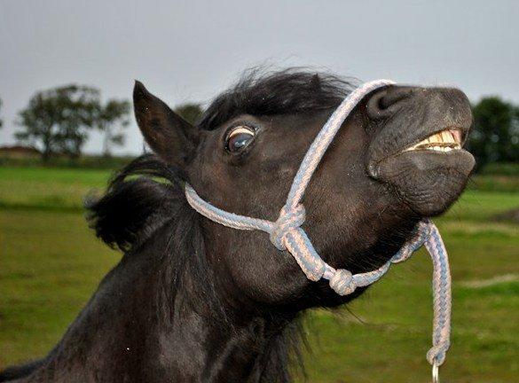 DSP Beauty - Skæbnen giver os slægtninge. Venner vælger vi selv.
Foto: MAL
 billede 8