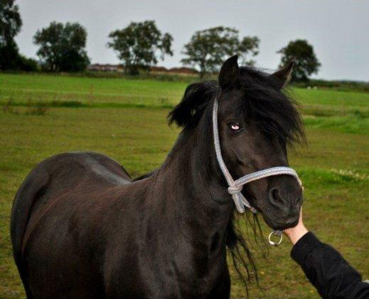 DSP Beauty - A friend is someone who knows all about you and still loves you.
Foto: MAL billede 11